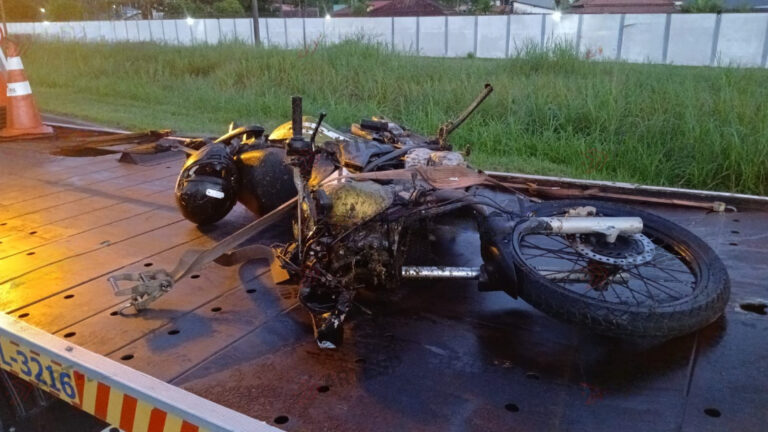 Motociclista morre após colisão com cavalo em rodovia na cidade de Peruíbe