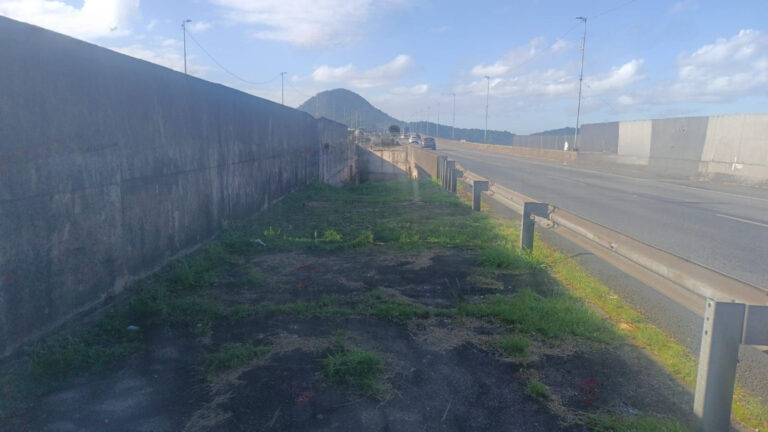 Corpo de uma mulher é encontrado com sinais de violência em canteiro de rodovia no litoral