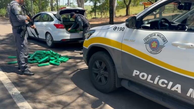 Homem é preso com 266 kg de maconha na SP-272