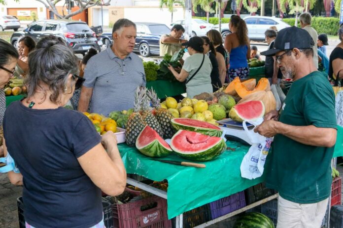 feira A feira oferece verduras, legumes, tubérculos, frutas e itens como bolos, biscoitos sem açúcar e sem glúten, goma de tapioca e outros