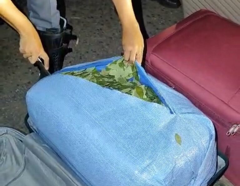 Boliviano é flagrado com 90 kg de folhas de coca em ônibus