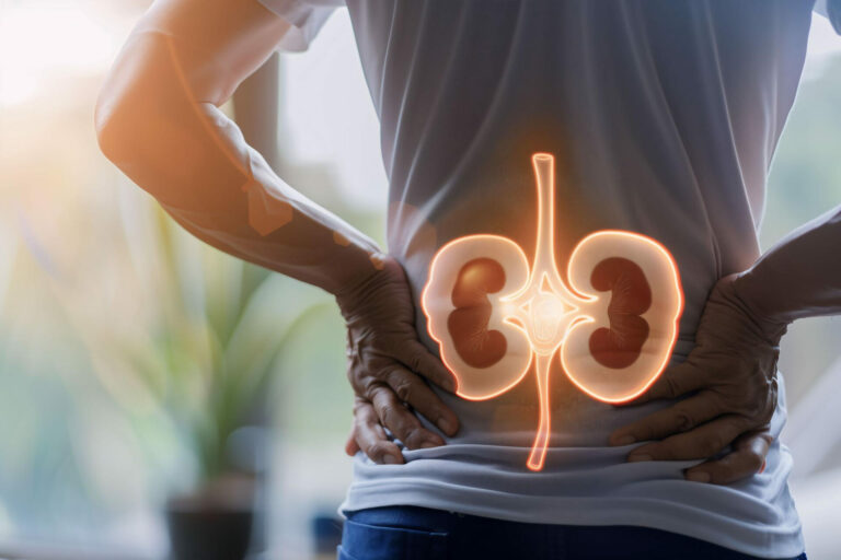 Hábitos diários que protegem os rins e reduzem o risco de doenças