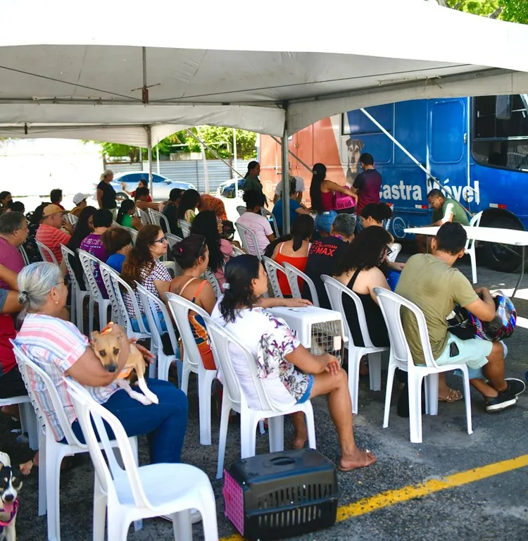 Programa Paraíba Pet oferece castração gratuita de animais no bairro José Américo, em João Pessoa