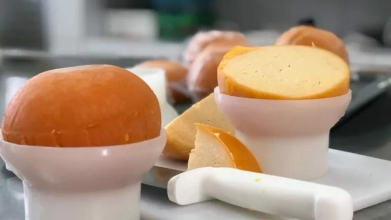 Inovação na Paraíba: UFPB cria queijo do reino a partir de leite de cabra