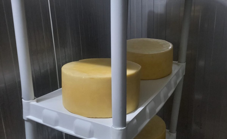 Queijos e ovos de Araçatuba já podem ser vendidos para o Brasil inteiro