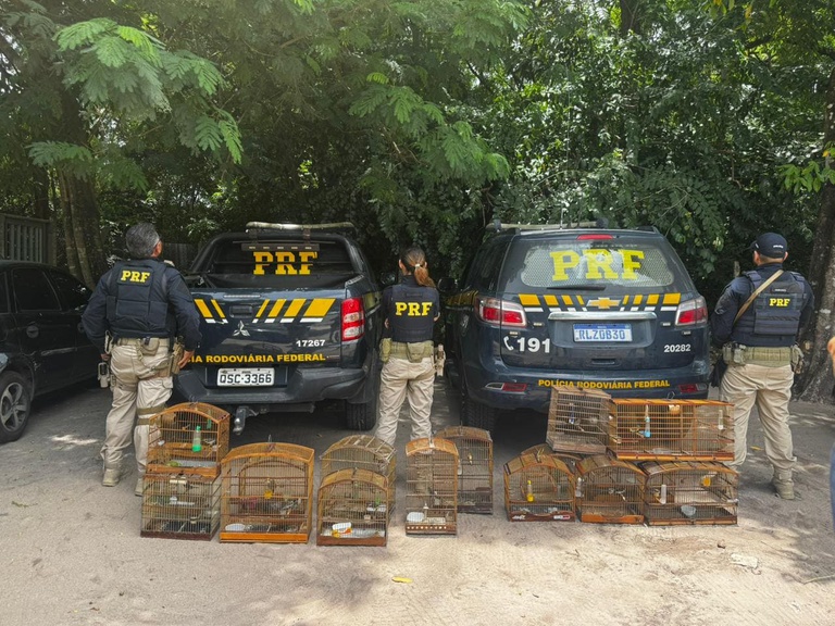 A fiscalização ocorreu entre 27 de fevereiro e 5 de março, nas delegacias de João Pessoa, Campina Grande e Patos