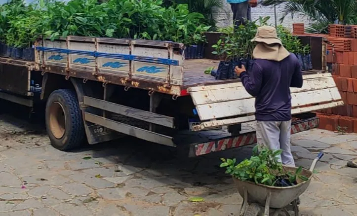 Mutirão das Mulheres do Meio Ambiente reúne serviços em João Pessoa