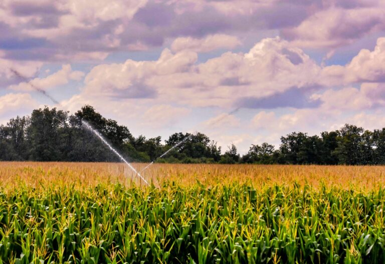 Produtores da Paraíba têm até abril para atualizar dados e manter Tarifa Rural