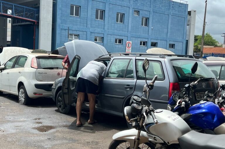 Primeiro dia de visitação do leilão de veículos reuniu dezenas no pátio da RP Mobi, diz prefeitura