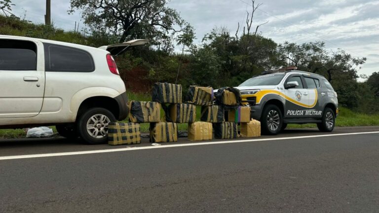 Jovem de 24 anos é preso com mais de 300 kg de maconha na SP-272