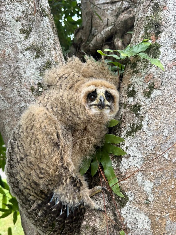 55199477524_a3195ed4cc_c