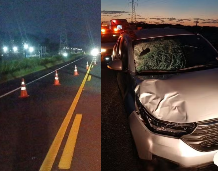 Homem alcoolizado morre atropelado em rodovia do litoral de SP