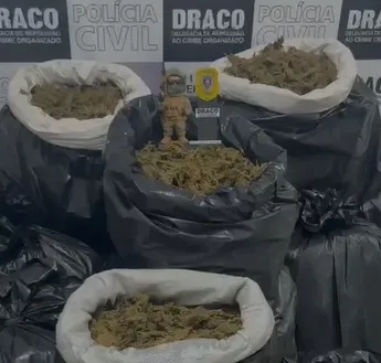 Apreensão draco