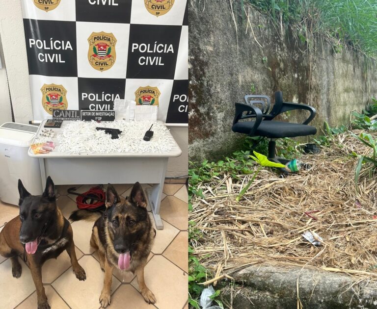 Homem é preso durante ação que desarticulou “casa bomba” em morro de Santos