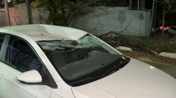 Galho de árvore destrói para-brisa e amassa teto de veículo em Barão Geraldo