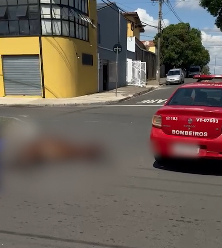 Cavalo morre no meio da rua e preocupa moradores do Residencial Cosmos em Campinas