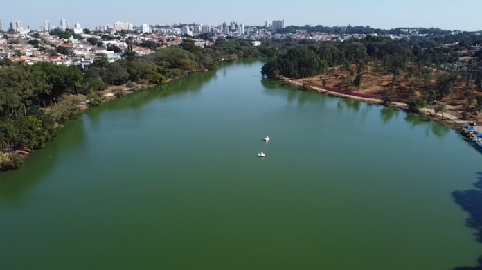 Polícia investiga sumiço de cisne da Lagoa do Taquaral em Campinas
