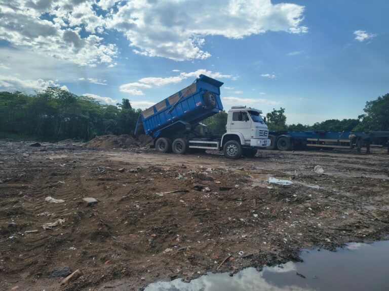 GCM flagra descarte irregular em mangue de São Vicente