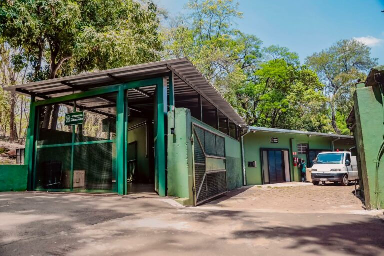 CETRAS anuncia curso para a PM Ambiental identificar maus-tratos