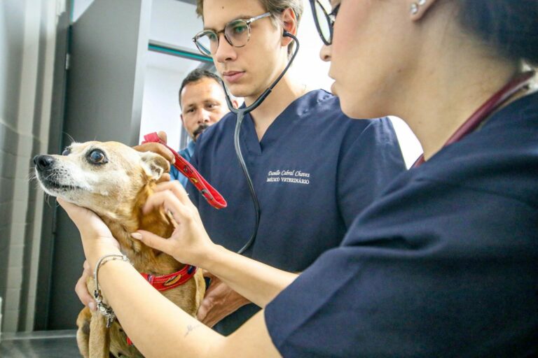 Mutirão oferece castração, vacinas e atendimentos gratuitos para pets nesta sexta (24) e sábado (25) em João Pessoa