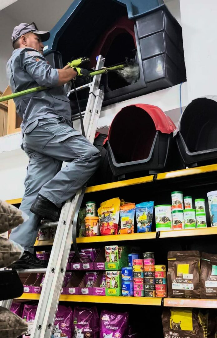 WhatsApp Image 2026-04-09 at 09.54.40