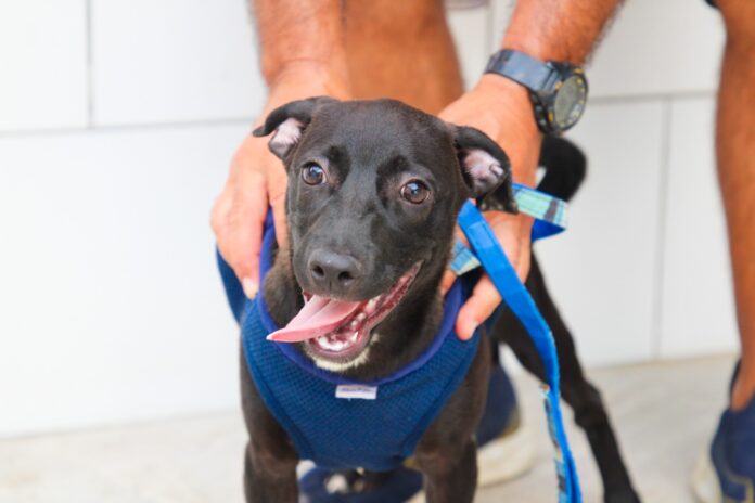 WhatsApp Image 2026-04-10 at 15.41.39