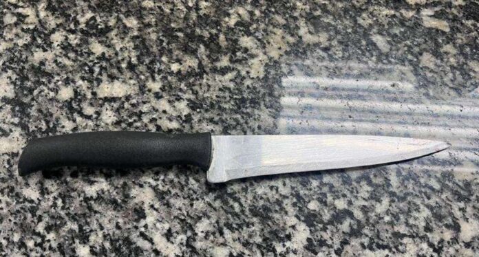 WhatsApp Image 2026-04-13 at 10.09.03 (1)