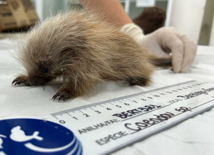 WhatsApp Image 2026-04-16 at 10.57.13