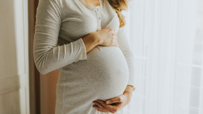 auxilio-maternidade-2026-guia-completo auxilio-maternidade-2026-guia-completo