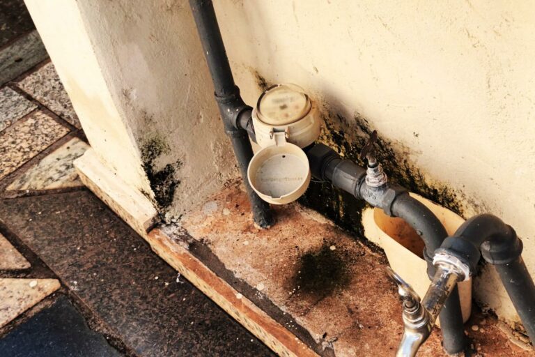 Saerp registra 360 autuações por irregularidades em Ribeirão Preto no primeiro trimestre de 2026