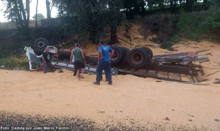 Dois adolescentes e um motorista de Piacatu morrem em acidente em vicinal