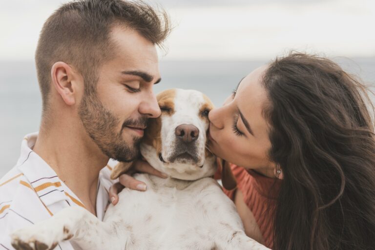 Animais de estimação poderão ter guarda compartilhada em caso de separação de casal