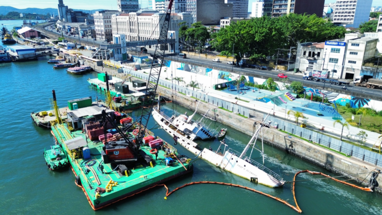 Plano de remoção do navio histórico Prof. W. Besnard no Porto de Santos é aprovado pela Marinha