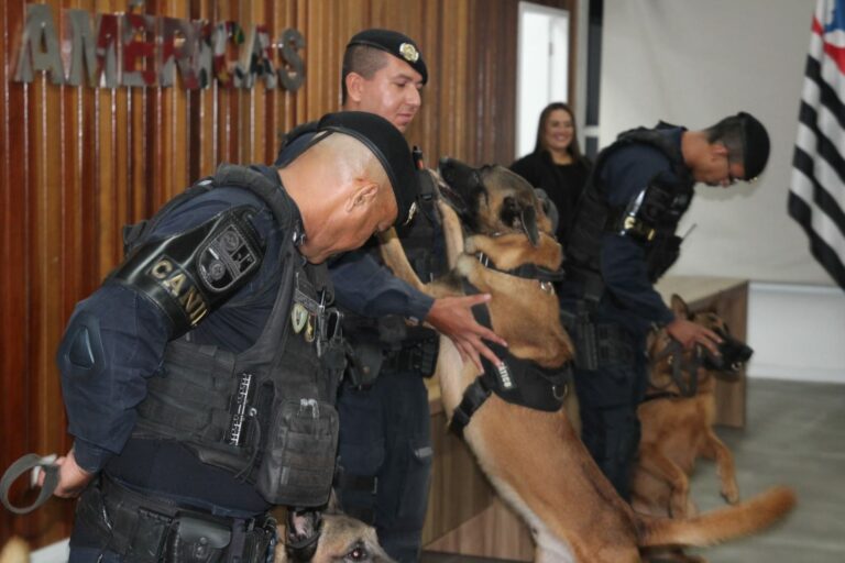 Canil da GCM de São Vicente completa 20 anos de atuação