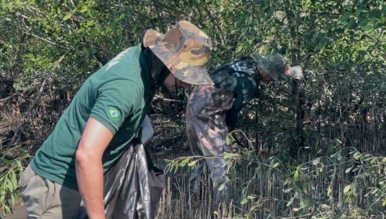 Fundação Florestal intensifica ações para conter o avanço de mangue-maçã no litoral de SP