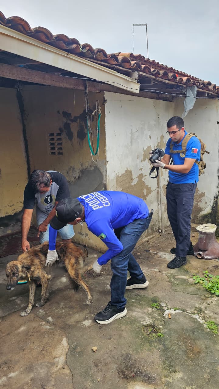 Polícia Civil resgata animais e apreende arma durante operação contra maus-tratos na Paraíba