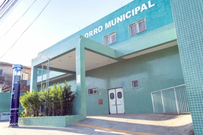 Idosa é atacada por cachorro e mobiliza equipes do SAMU em cidade do litoral de SP