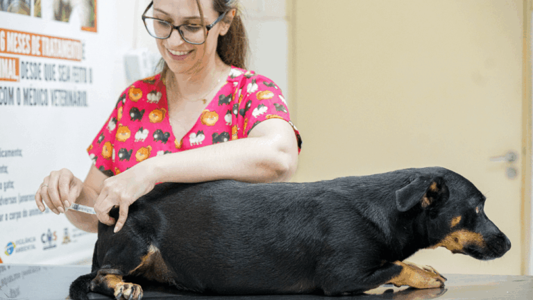 Zoonoses estará aberto neste sábado, com vacinação antirrábica