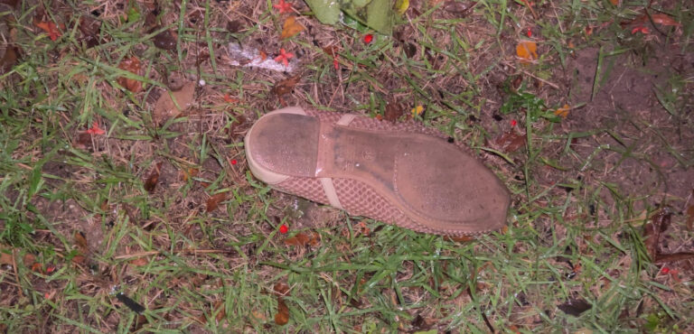 Perícia aponta ausência de peça íntima em corpo de mulher encontrado durante buscas em Bayeux