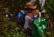 ‘Birdwatching’: conheça destinos no litoral para observar pássaros