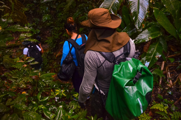 ‘Birdwatching’: conheça destinos no litoral para observar pássaros