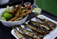 Ilhabela terá 14ª edição do Festival da Sardinha; veja a programação completa