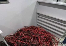 Dois homens são presos após tentativa de furto de fios em usina solar, em Lorena