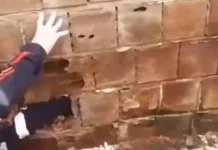 Recém-nascido encontrado entre muros segue em estado grave no Hospital de Trauma de João Pessoa