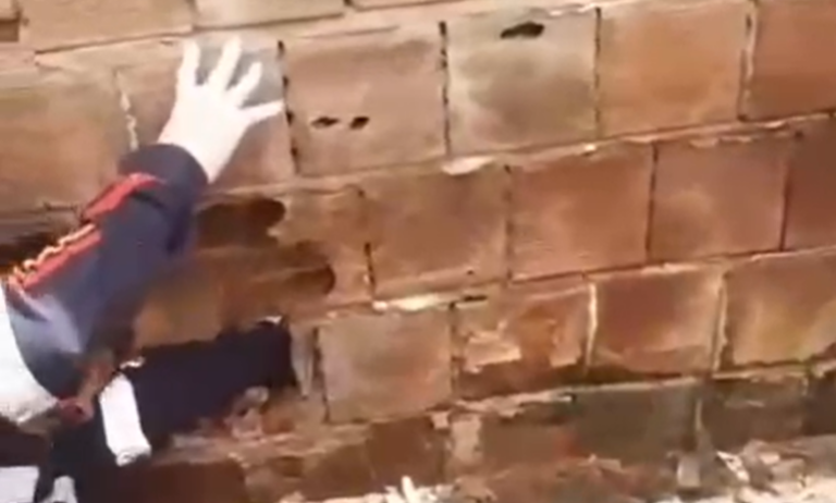 Adolescente confirma ser mãe de recém-nascido abandonado entre muros em Alhandra