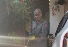 Corpo de Bombeiros resgata jararaca em garagem de residência em Ilhabela