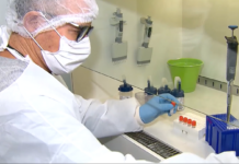 Mortes por meningite aumentam em Campinas em 2026