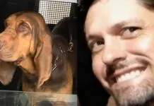 Operação com cães mobiliza buscas por homem desaparecido