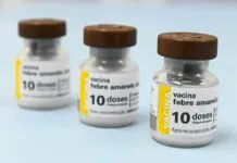 Secretária de Saúde confirma duas novas mortes por febre amarela em SP