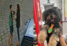 Criança pega animal de garagem e tutores procuram animal; VÍDEO